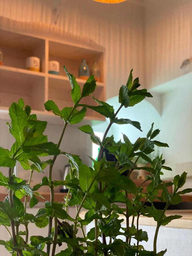 A Casa Del Console Apartment มันเฟรโดเนีย ภายนอก รูปภาพ